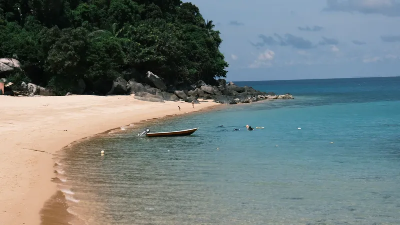 Beach with trees and clear blue sea, people swimming in the water