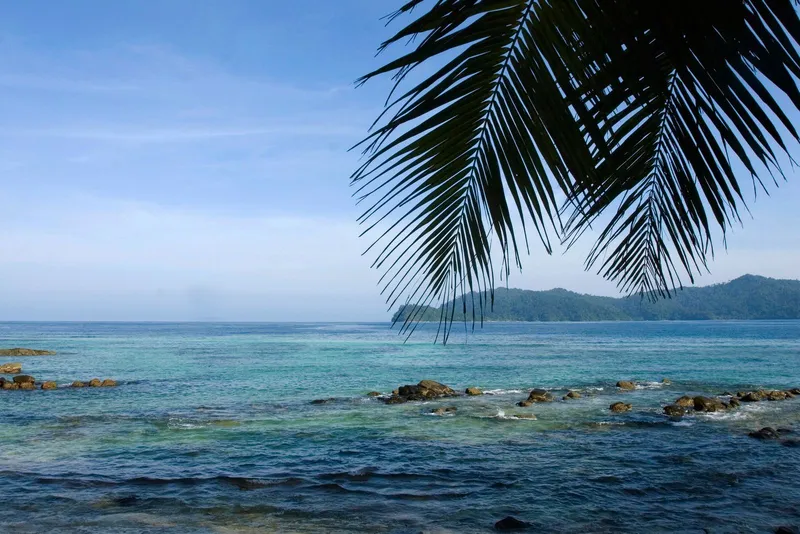 Palm leaves framing a beach, blue sea and an island in the distance