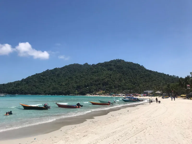 Long-tail boats on a sunny beach below green, forested hills