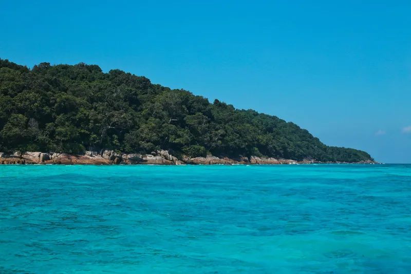 A green island surrounded by blue sea