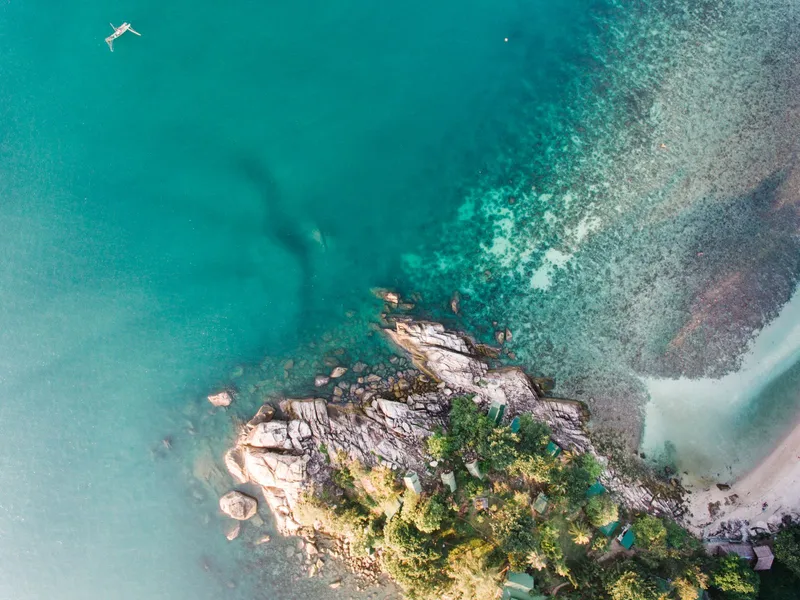 Aerial view of a coastline with clear water and green trees