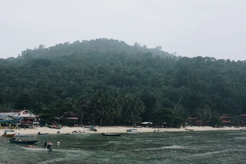 Shoreline with boats and green trees
